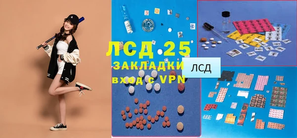 стаф Бикин