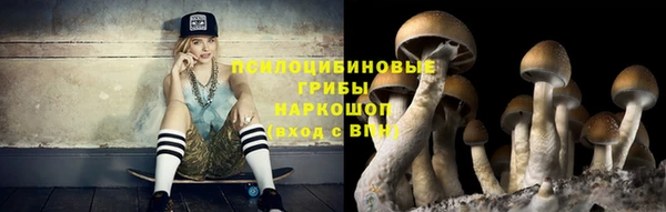 дмт Алексеевка