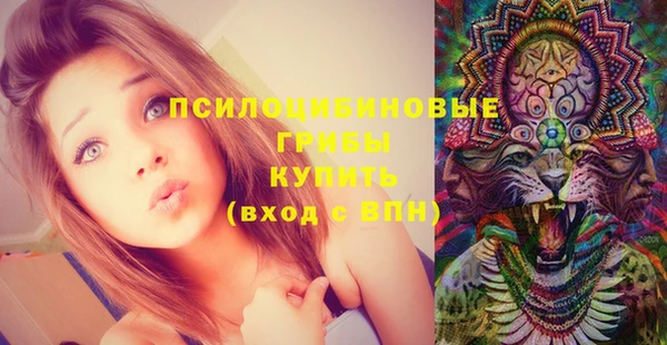 стаф Бикин