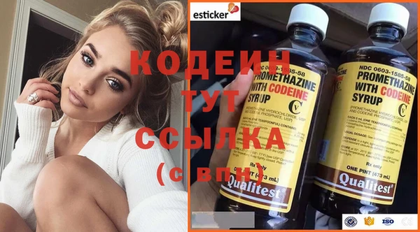 стаф Бикин