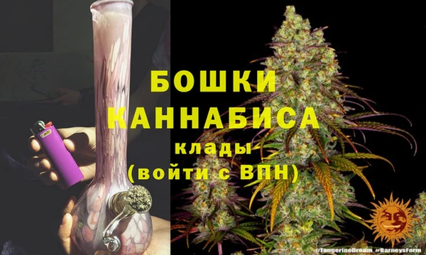 apvp Билибино