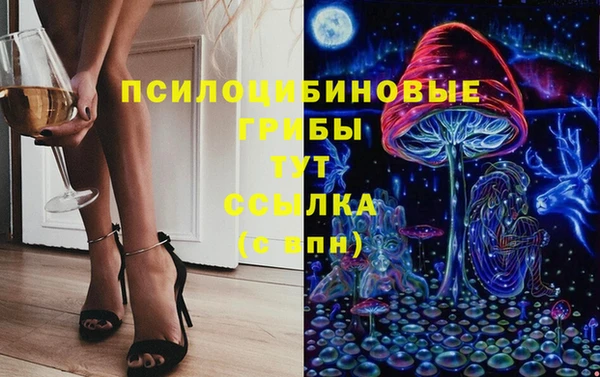 дмт Алексеевка